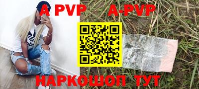 гашик Новозыбков
