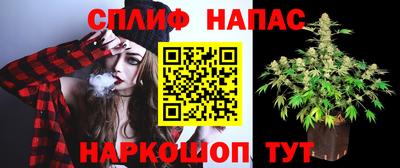 гашик Новодвинск